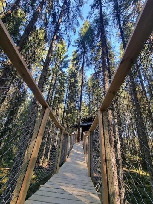 Hotel Treetop Ekne - Hytte I Skogen Med Hengebru Levanger Exterior foto