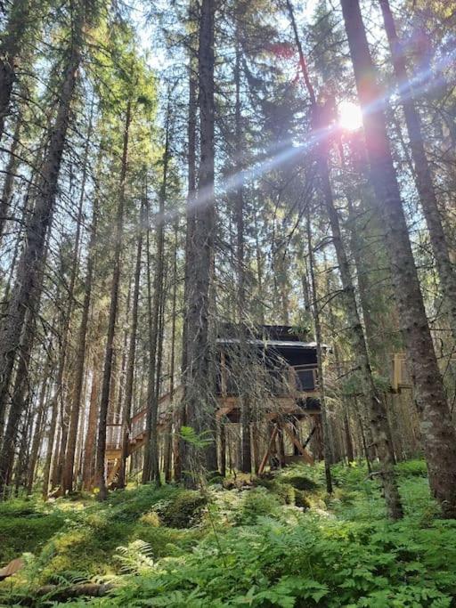 Hotel Treetop Ekne - Hytte I Skogen Med Hengebru Levanger Exterior foto